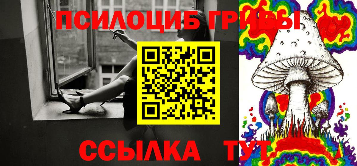 Кизляр  Псилоцибиновые грибы мухоморы  Вход с VPN 